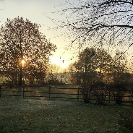 Villa Am Huelser Berg Naehe Duesseldorf Krefeld Kültér fotó